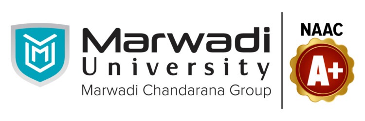 Marwadi University